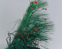 自由花一級研究会作品
新春の花
花材 大王松 木瓜〈ボケ〉