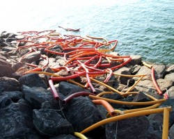 2005
いけばな野外展
宮崎