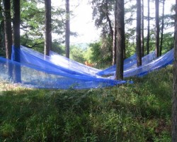 2011
いけばな野外展
松本 アルプス公園