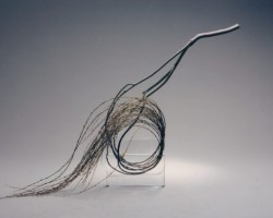 自由花一級研究会作品「柳の類をしゅざいとして」