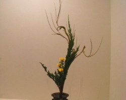 2009いけばな龍生展
「上野松坂屋」