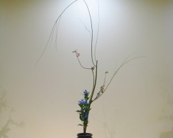 2011いけばな龍生展
「上野松坂屋」