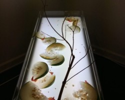 2017 テーマ席 アンダーライト
「東急本店」