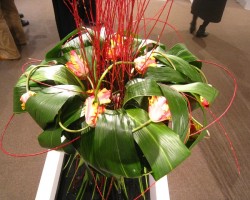 2015年2月 100人展
渋谷東急本店