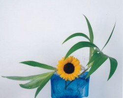 2014年6月 小品展
龍生会館