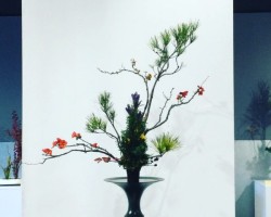 2021龍生展 渋谷ストリームホール
「立華 胴束(どうずか)
女松 ボケ リンドウ 他