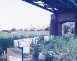 1997いけばな野外展