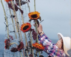 1998いけばな野外展
メンドシーノにていけ込み風景