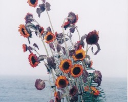 1998いけばな野外展
カリフォルニア州
メンドシーノ